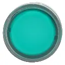 Cabeza de Pulsador Iluminado ZB4BW33 Ø22 Verde