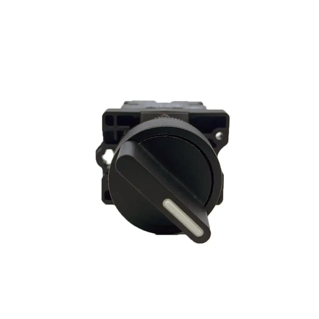 Interruptor Selector XA2ED25 1NO+1NC 2 Posiciones 240V 10A