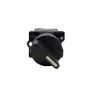 Interruptor Selector XA2ED25 1NO+1NC 2 Posiciones 240V 10A